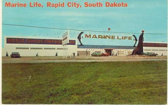 Rapid City: A Blend of Safety, Culture, and Innovation