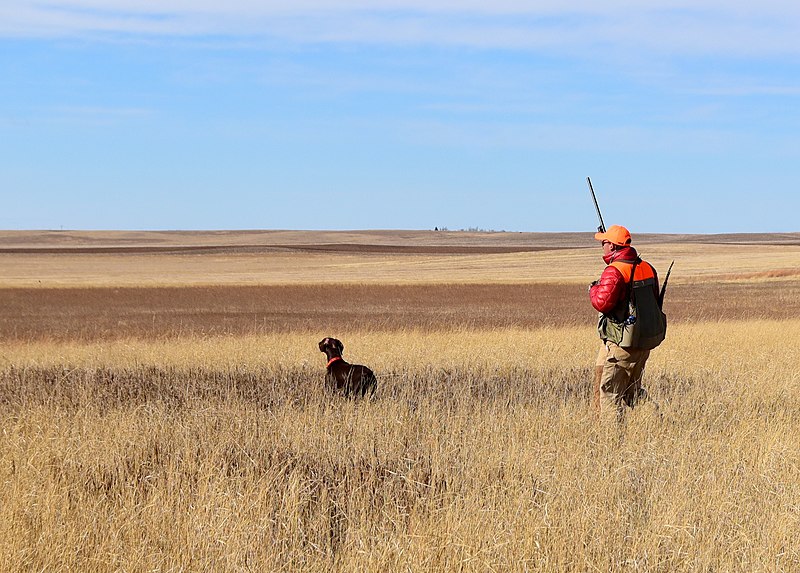 South Dakota’s Vibrant Community: A New Chapter in Rokslide Forums