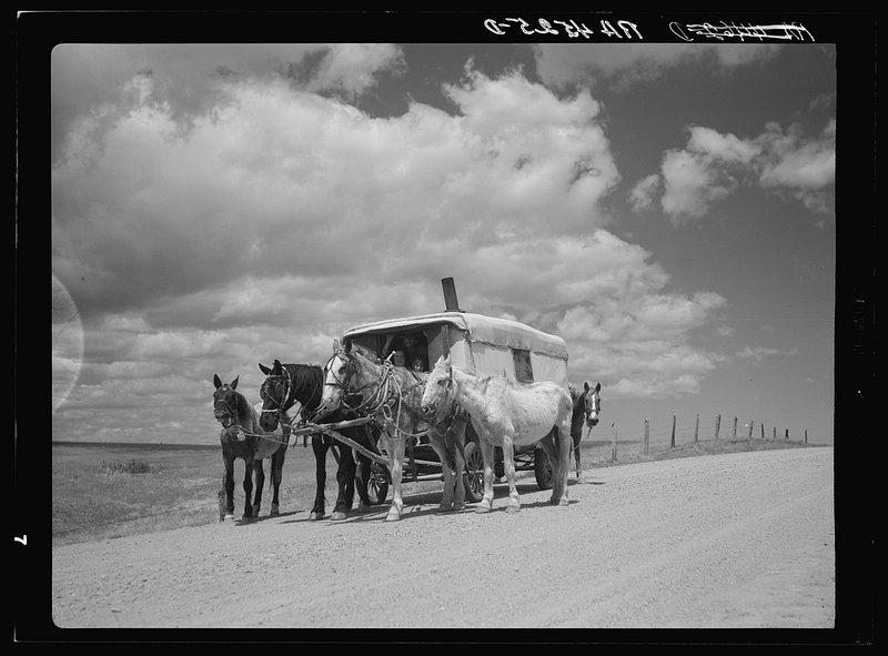 Embrace Pioneer Spirit: Join the South Dakota Wagon Train Adventure