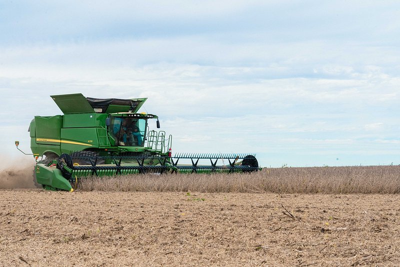 Bountiful Yields and Community Spirit Shine in South Dakota Harvest