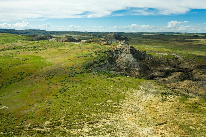 Tragic Fire at Reptile Gardens: Community Unites in Loss and Resilience