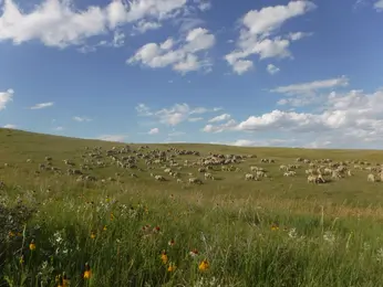 central South Dakota