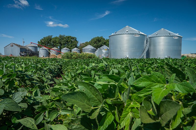 Cargill Opportunities: Driving Agricultural Success in South Dakota